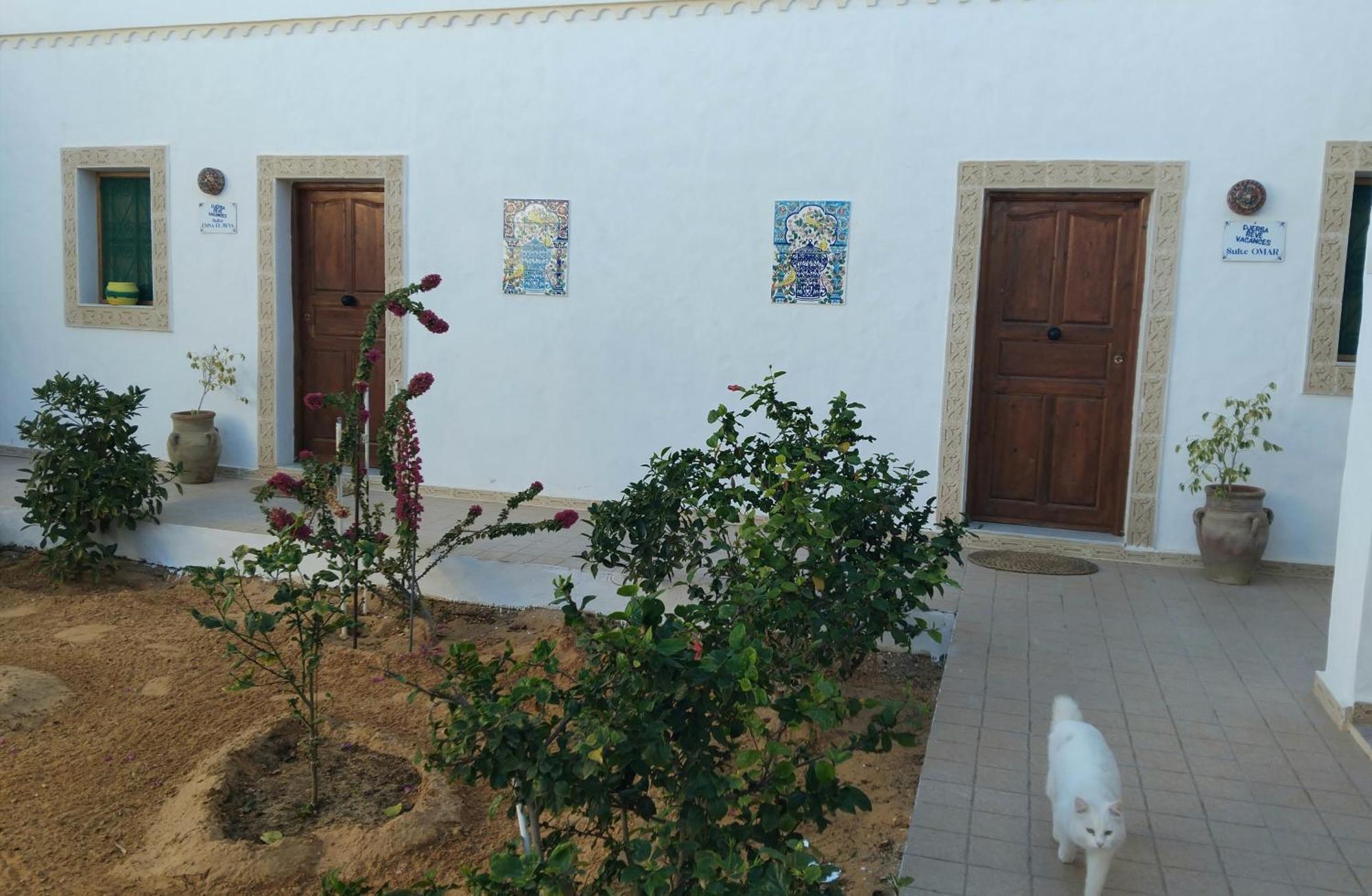 Djerba Reve Omar Midoun